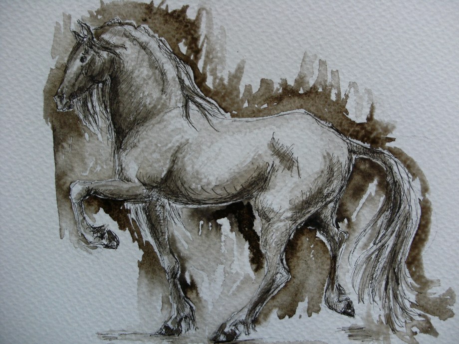 Horse-Drawing-Nadia-Baumgart-Cavallo