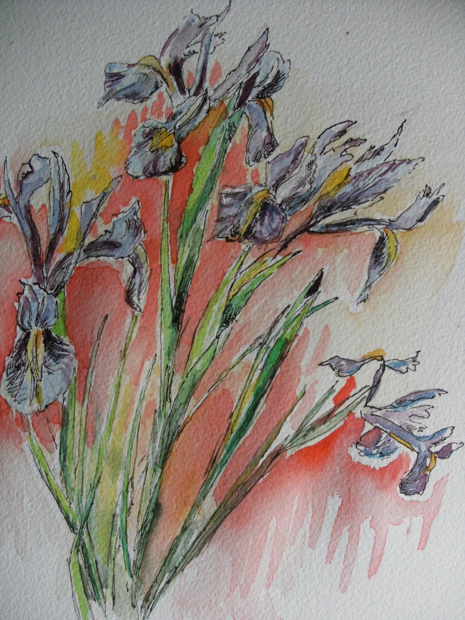 Iris-Aquarell-Nadia-Baumgart