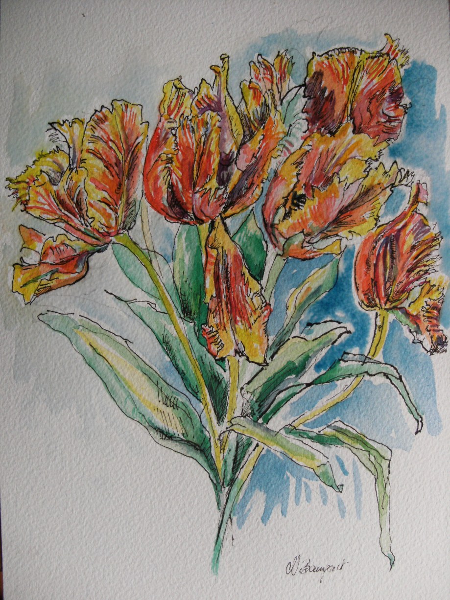 Verblühende-Tulpen-Zeichnung-Nadia-Baumgart