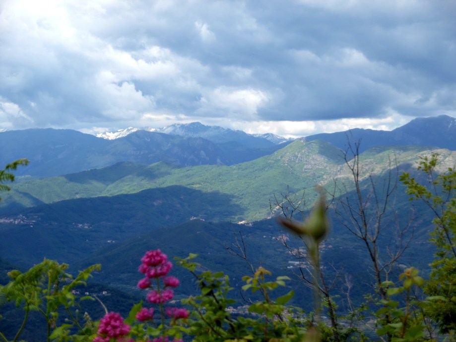 Vista-Alpi-Madonna-Guardia-Alassio-Nadia-Baumgart