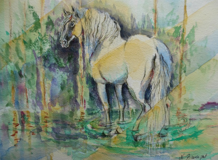 Traumpferd-Cavallo-Chaval-Blanc-Nadia-Baumgart