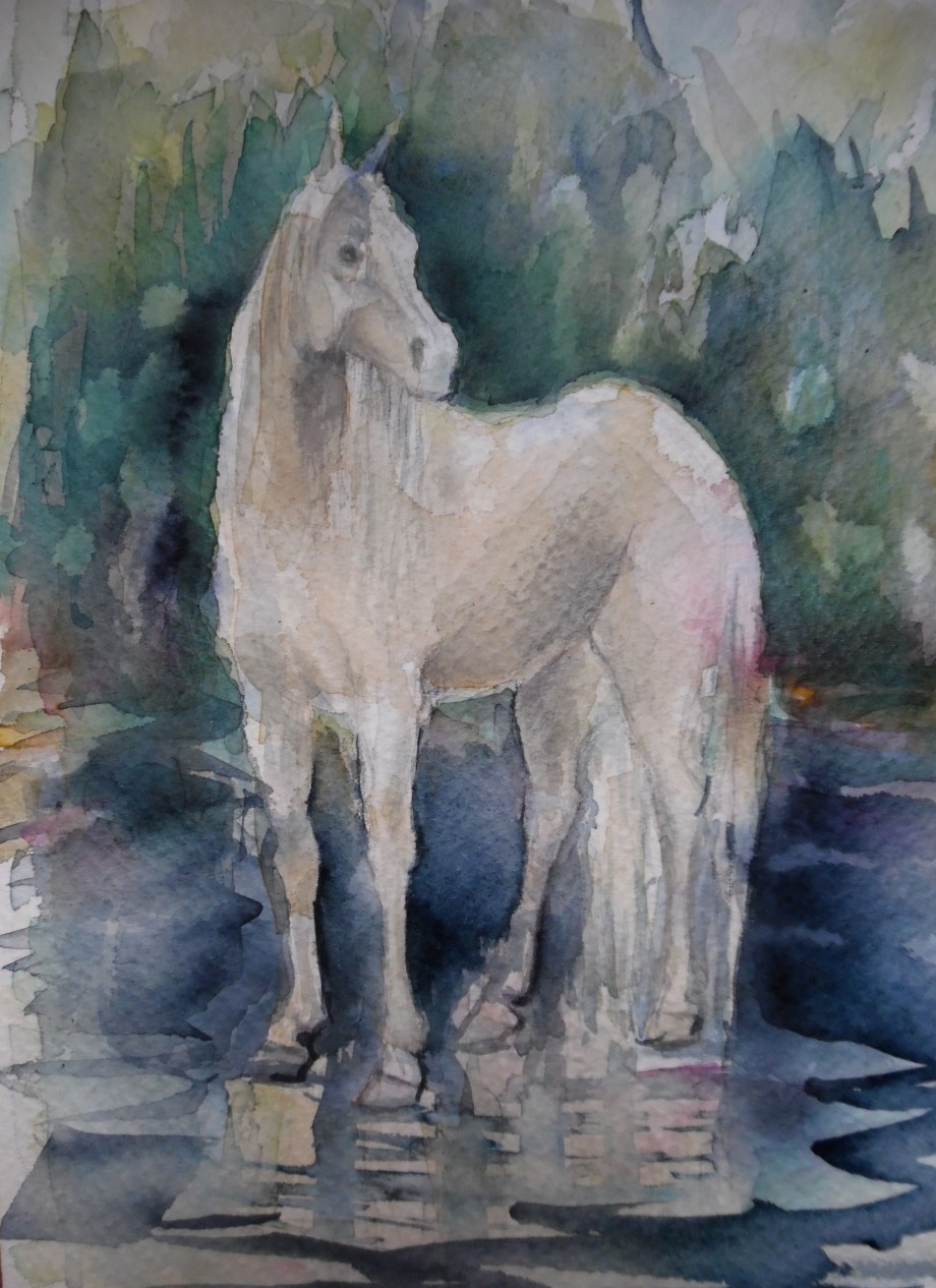 Cavallo-bianco-Horse-Pferd-Aquarell-Nadia-Baumgart