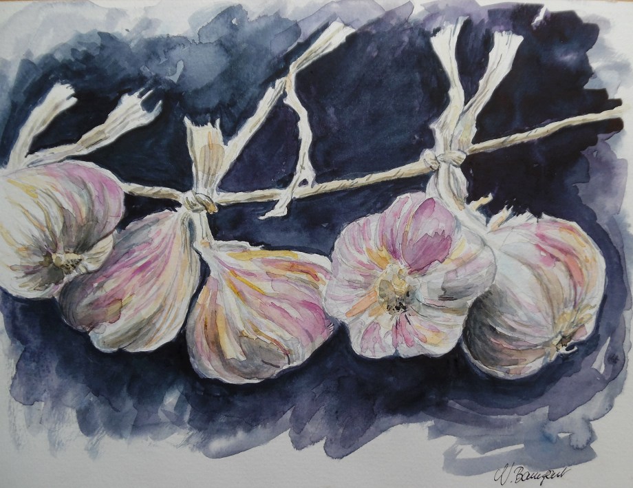 Etude-Knoblauch-Aquarell-Watercolour-Nadia-Baumgart