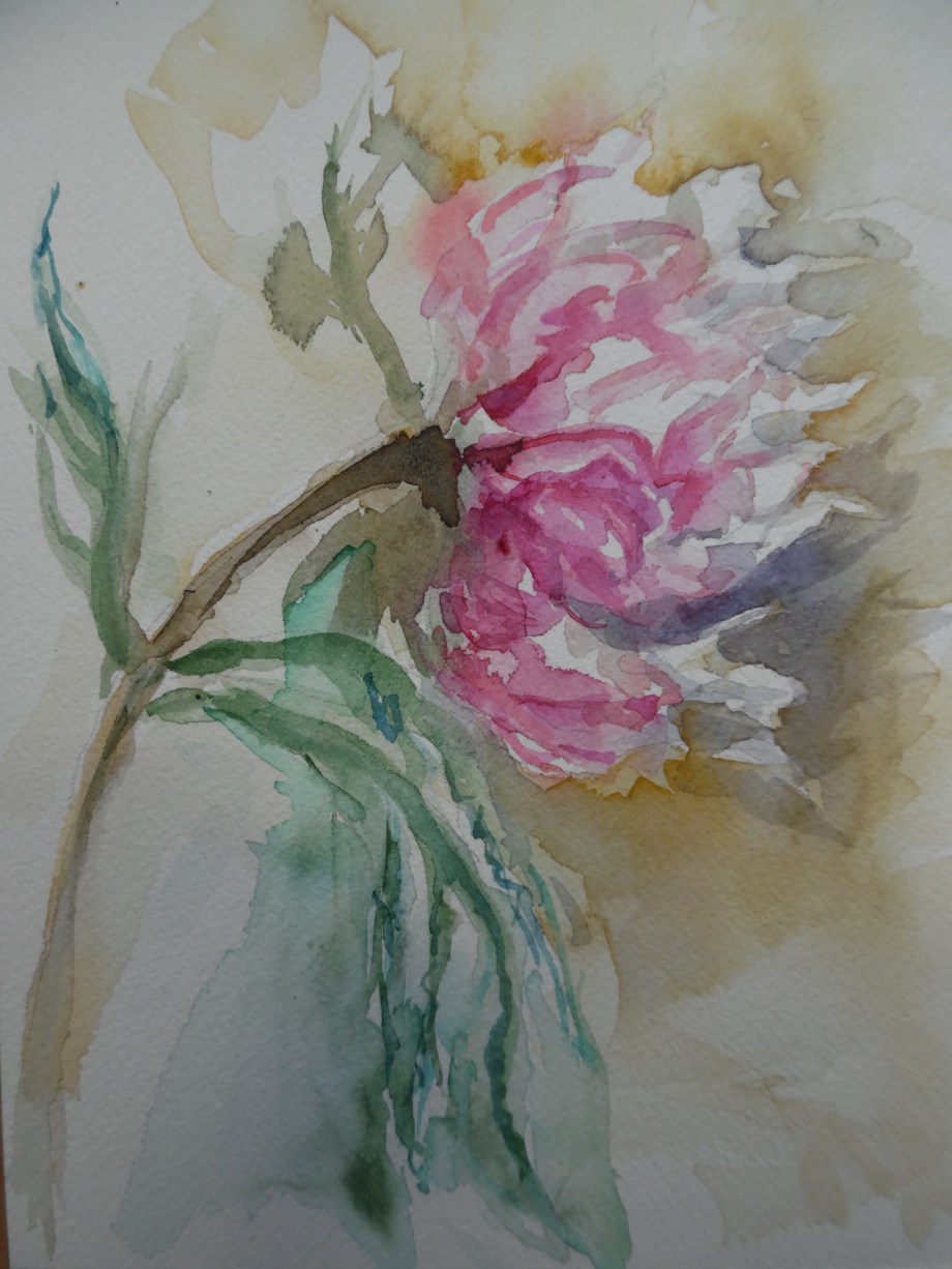 Fiore-Estate-Nadia-baumgart