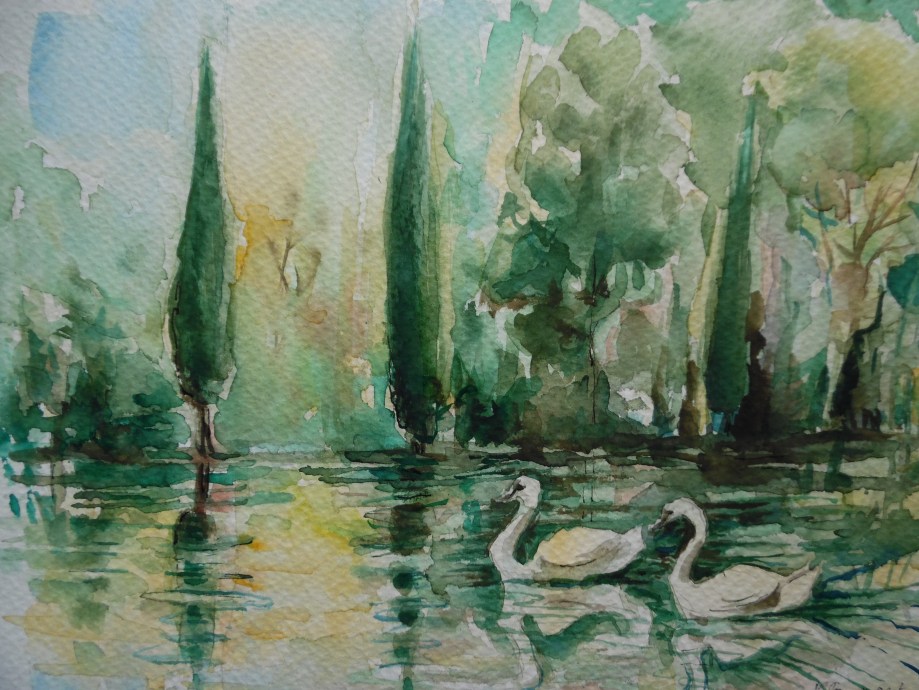 Swans-Sea-Schwan-Aquarell-Nadia-Baumgart