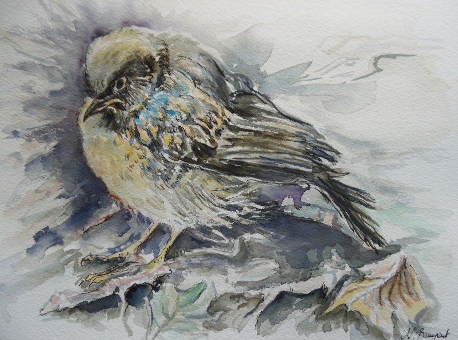 Vogel-Nest-Aquarell-Nadia-Baumgart