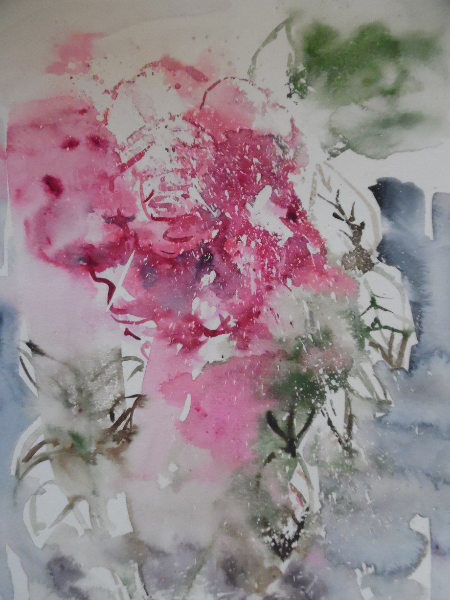 Rose-Aquarell-Watercolour-Nadia-Baumgart