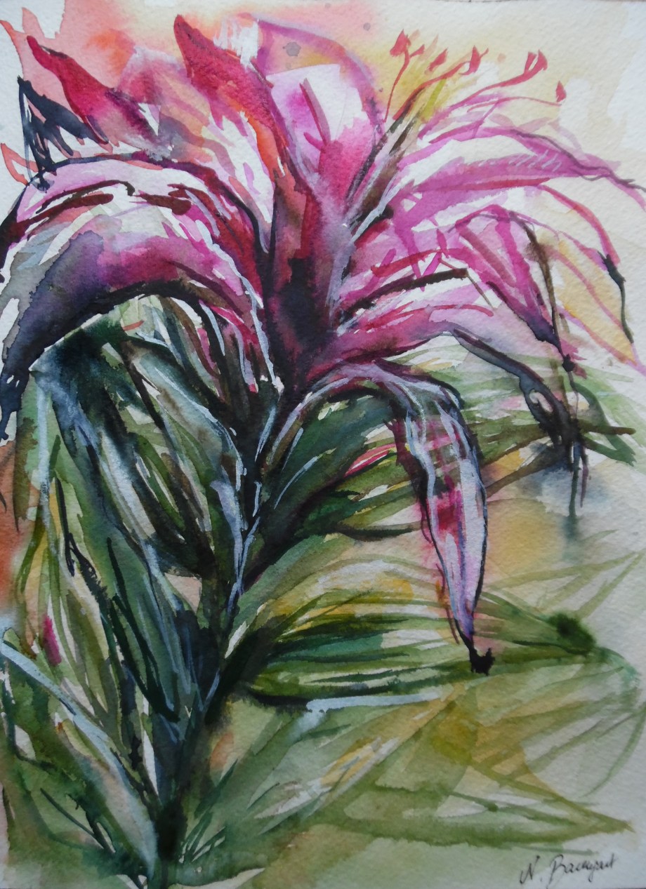 Wild-Flower-wilde-Blume-aquarell-Watercolour-Nadia-baumgart