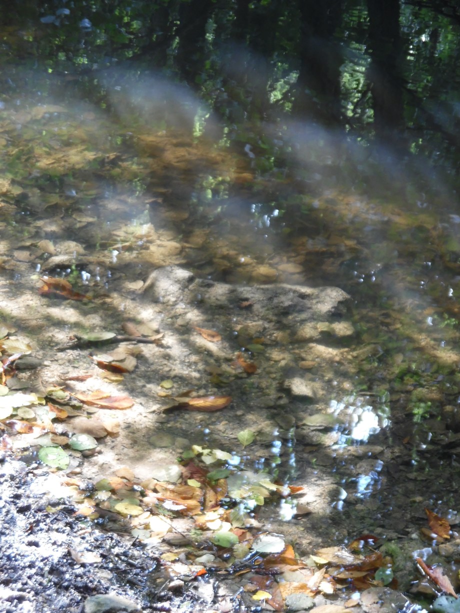 Foto-Nadia-Baumgart-1