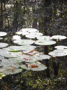 Foto-Nadia-Baumgart-2