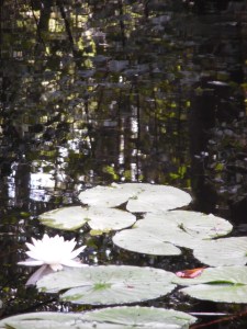 Foto-Nadia-Baumgart-3