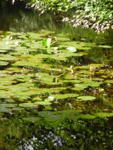 Foto-Nadia-Baumgart-4