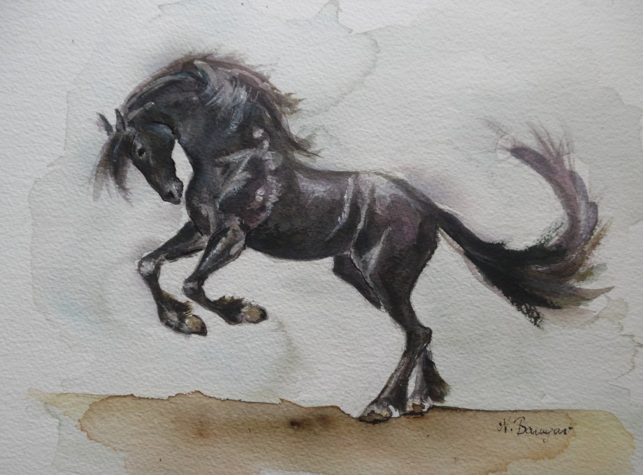 Schwarzes-Pferd-Black-horse-Aquarell-Nadia-Baumgart