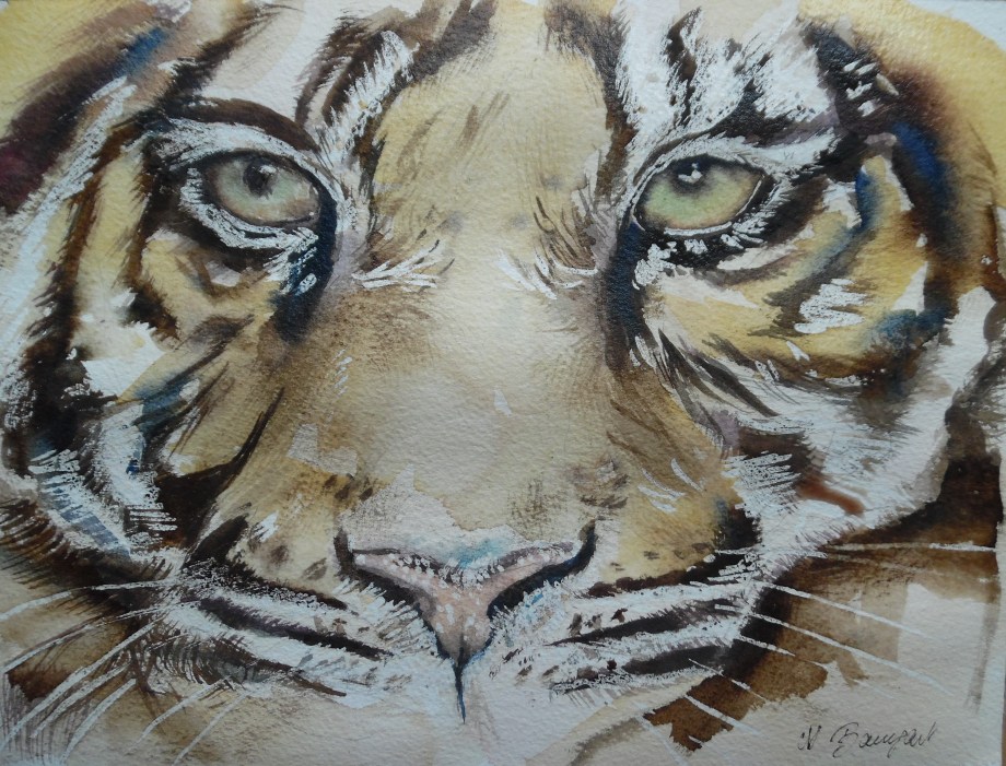 Tiger-Tigre-Aquarell-Watercolour-Nadia-Baumgart