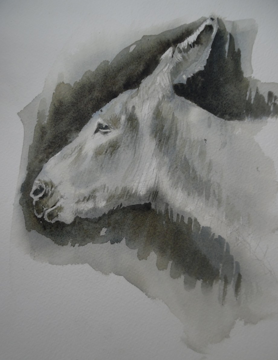 Patience-Esel-Aquarell-Watercolour-Nadia-Baumgart