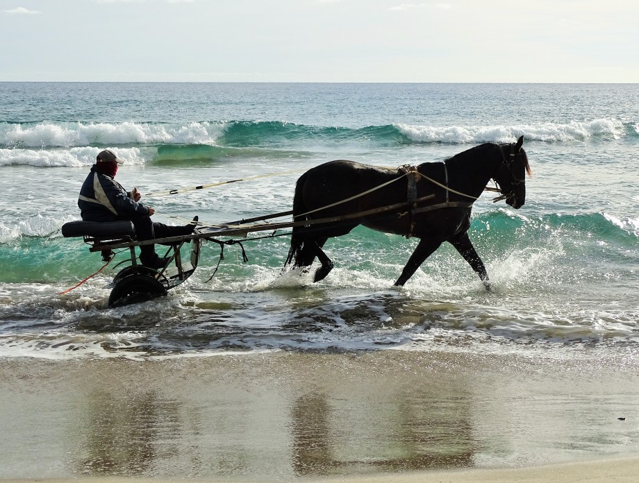 Cavalli-Nadia-Baumgart