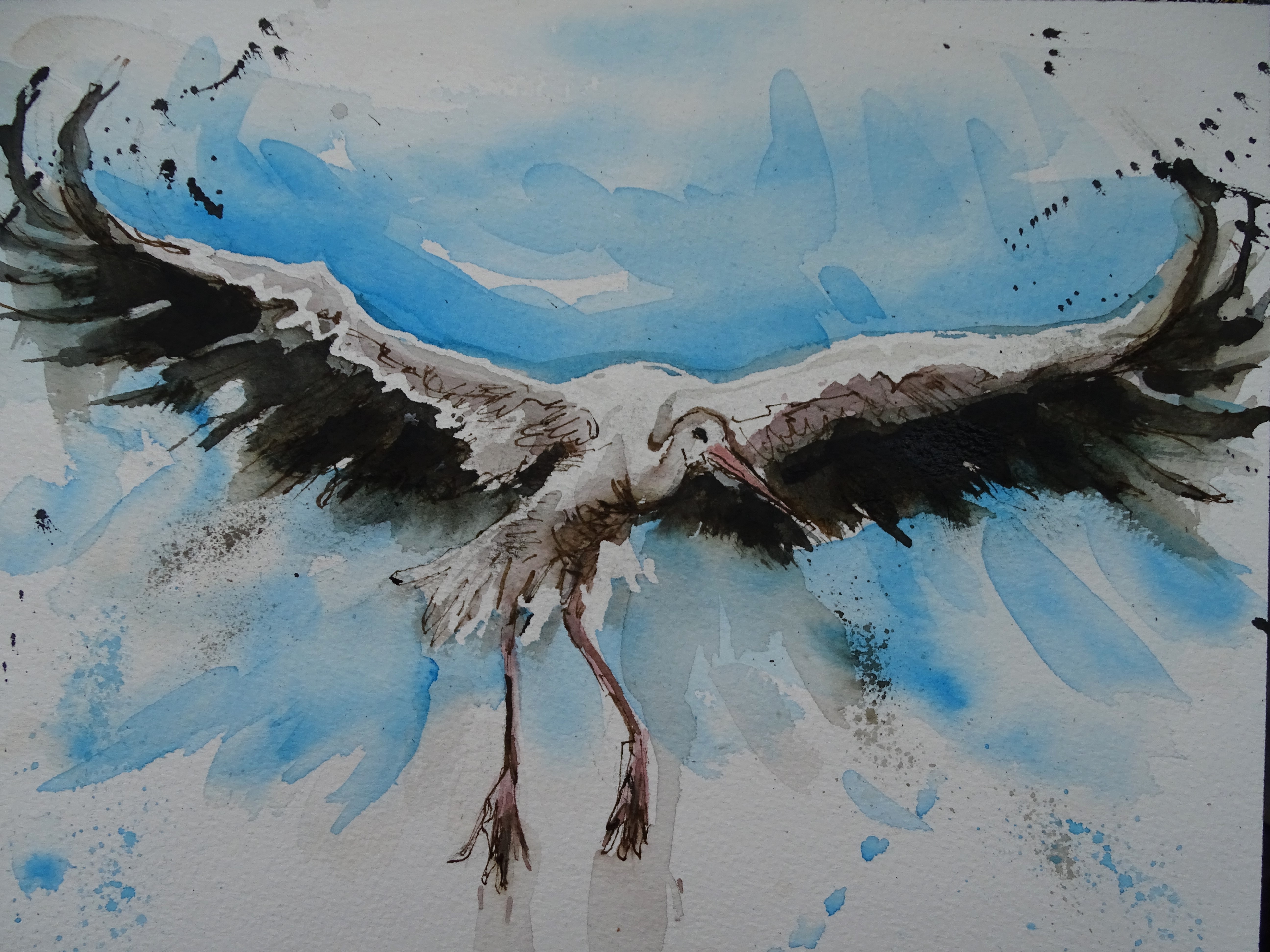 Cigogne-Stork-Aquarell-Fliegender-Storch-Nadia-Baumgart