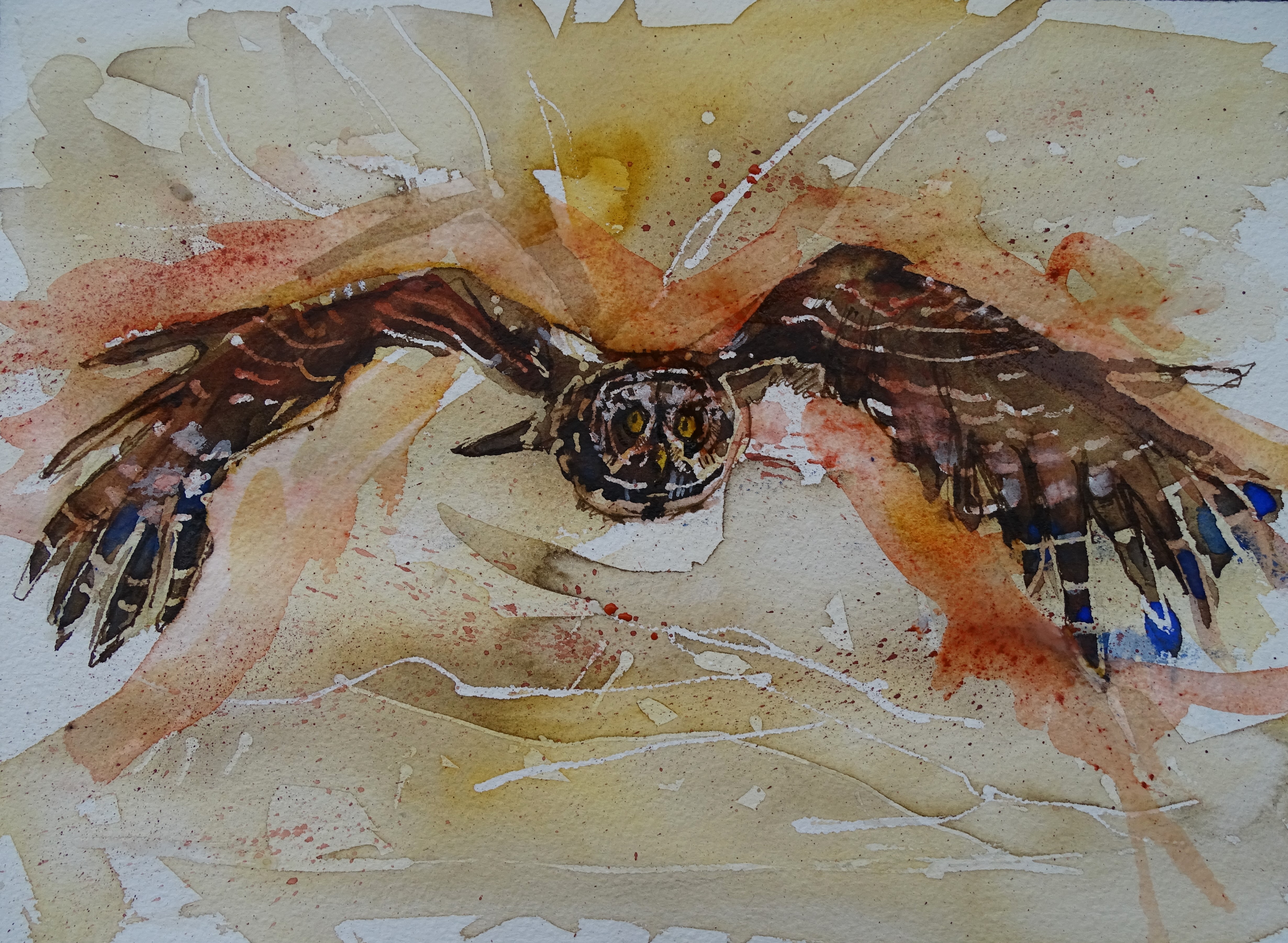 silent-flight-Foto-Nadia-Baumgart