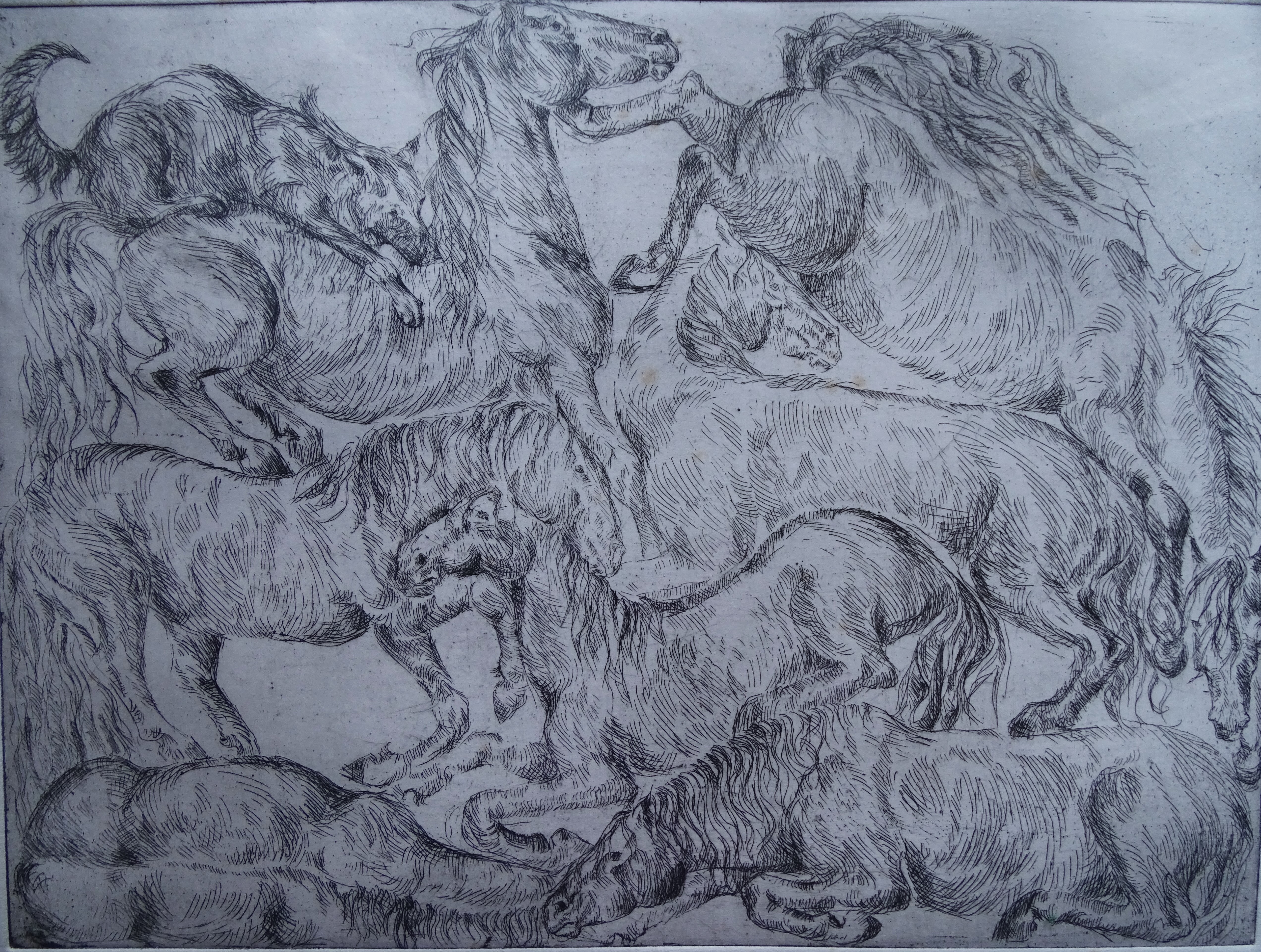 Pferde-Kaltnadelstich-Nadia-Baumgart