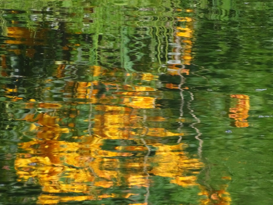 Reflections-Photo-Nadia-Baumgart