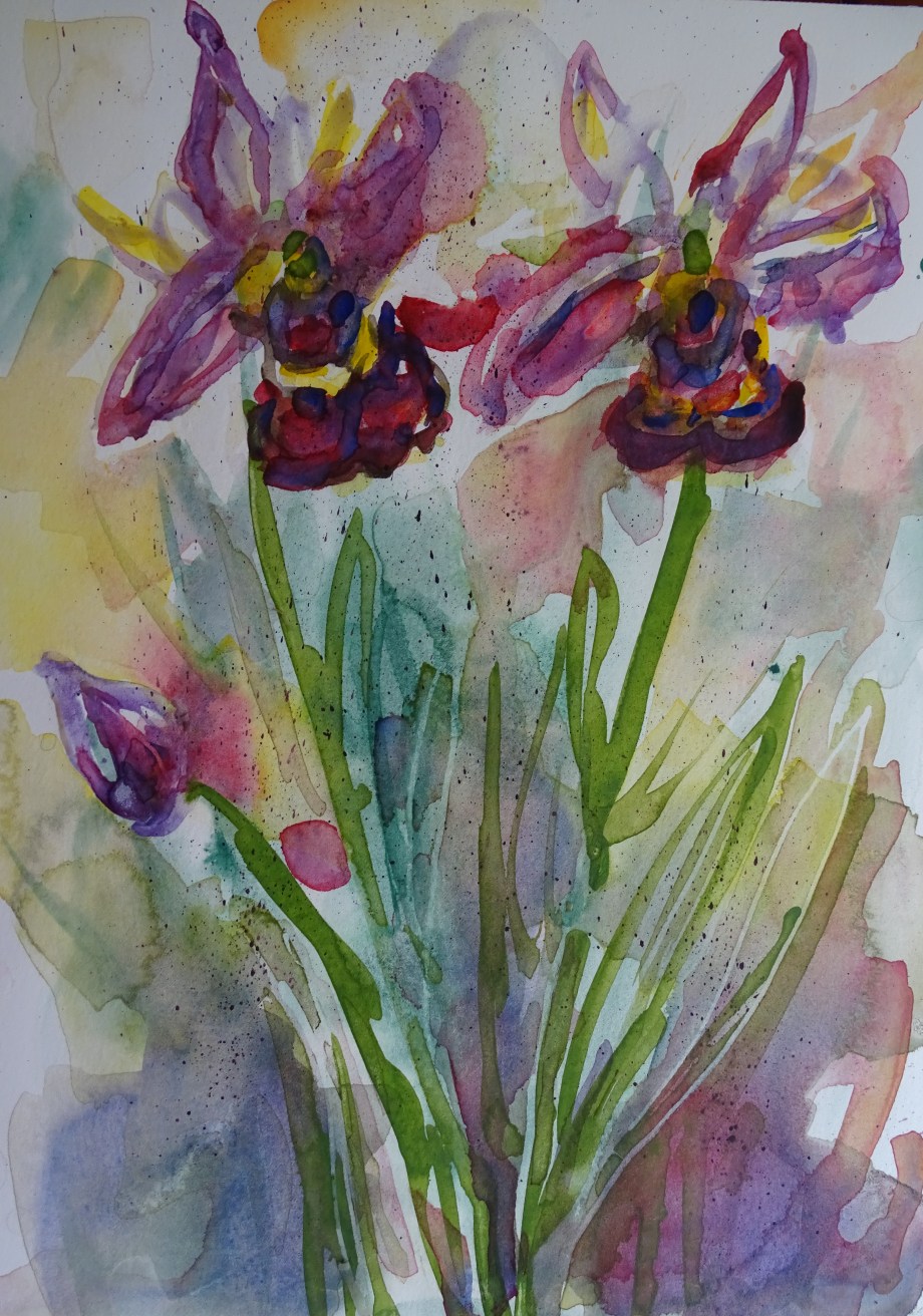 orchidées-aquarelle-nadia-baumgart