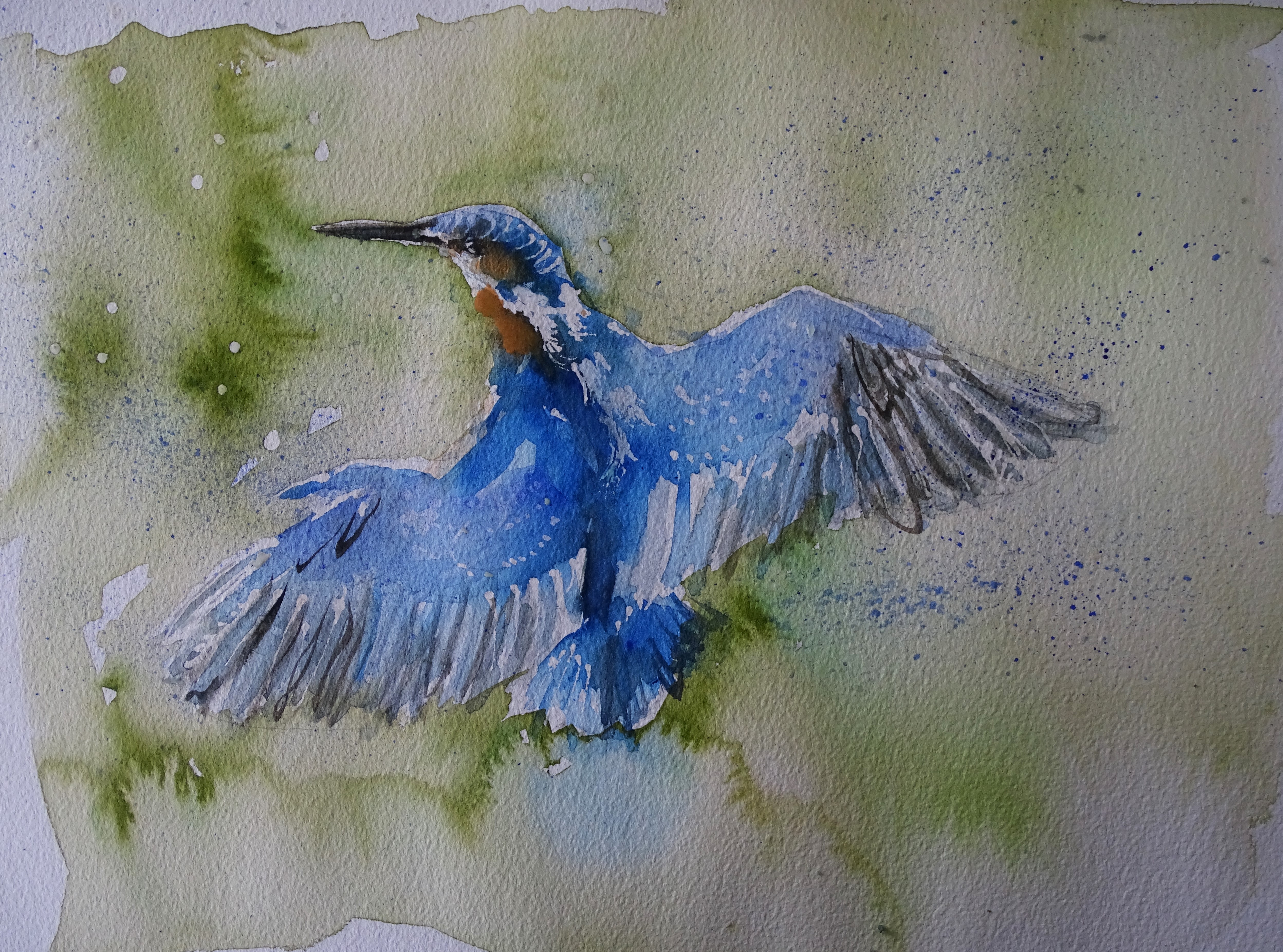 Eisvogel-Aquarell-Nadia-Baumgart