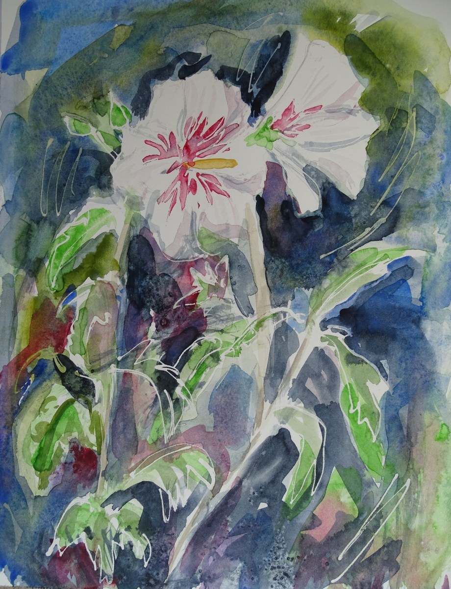 Hibiscus-Watercolour-Nadia-Baumgart