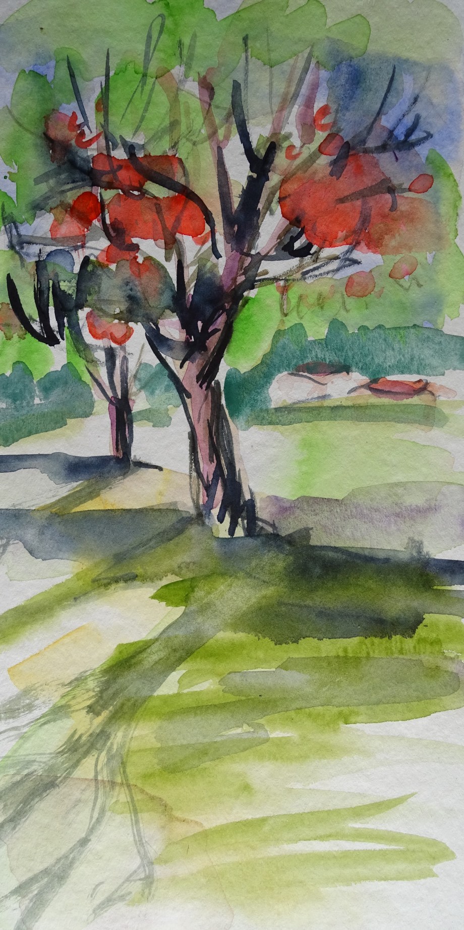 pommier-Nadia-Baumgart-Aquarell
