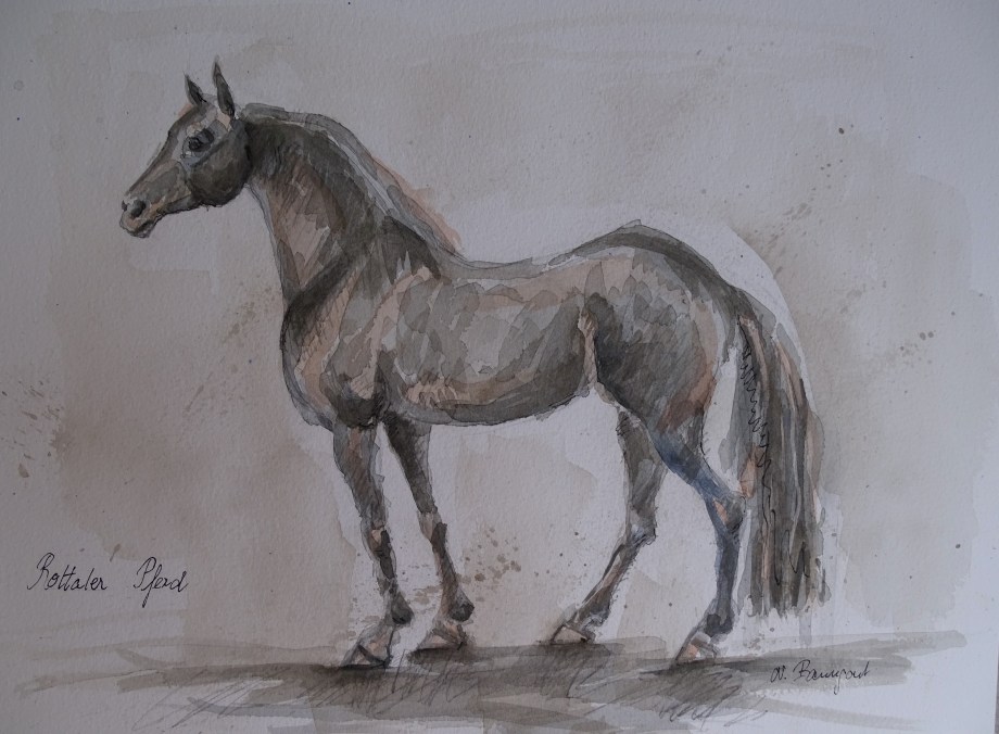 Rottaler-Pferd-Aquarell-Nadia-Baumgart