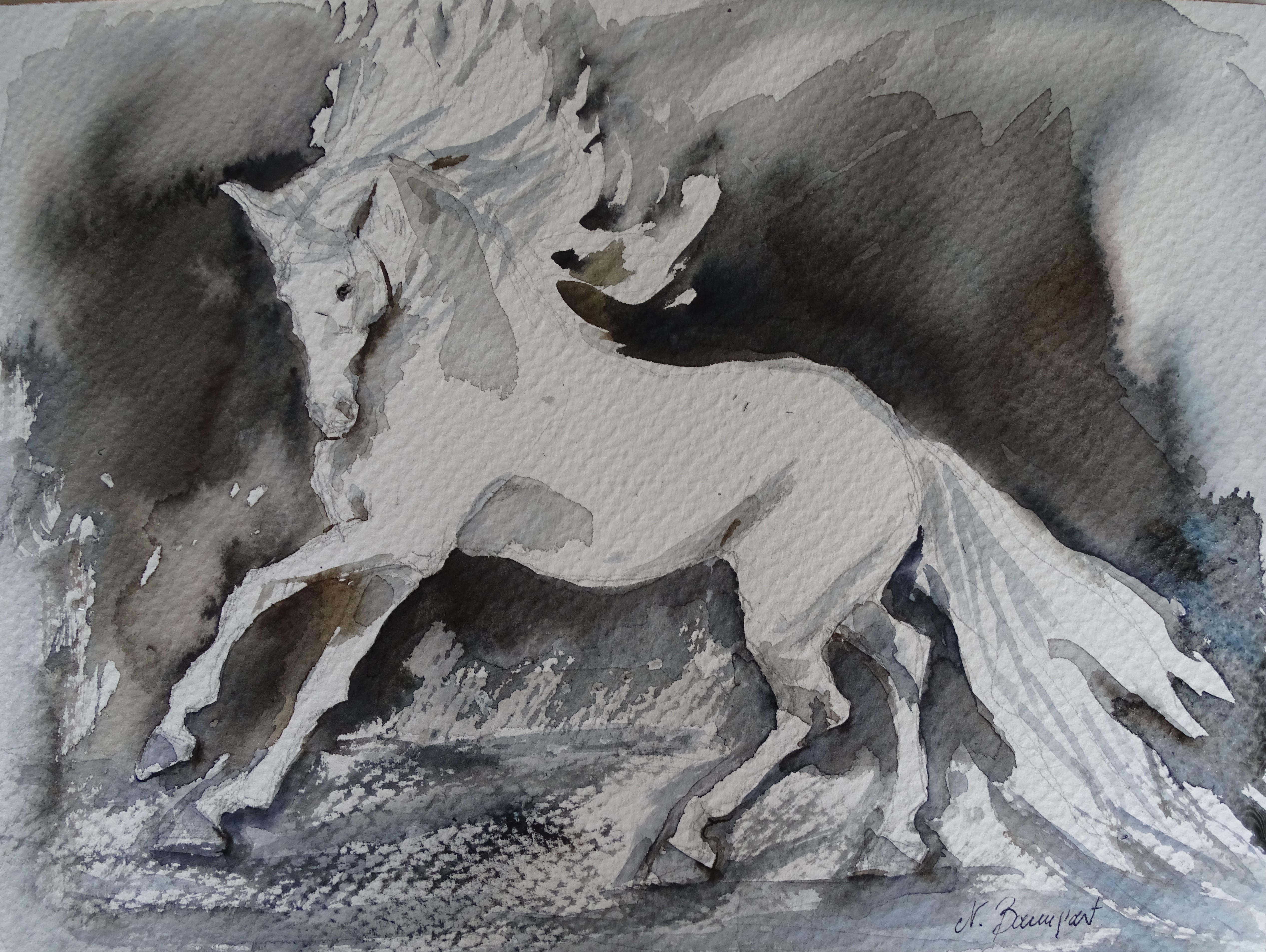 White-horse-watercolour-Aquarelle-Nadia-Baumgart