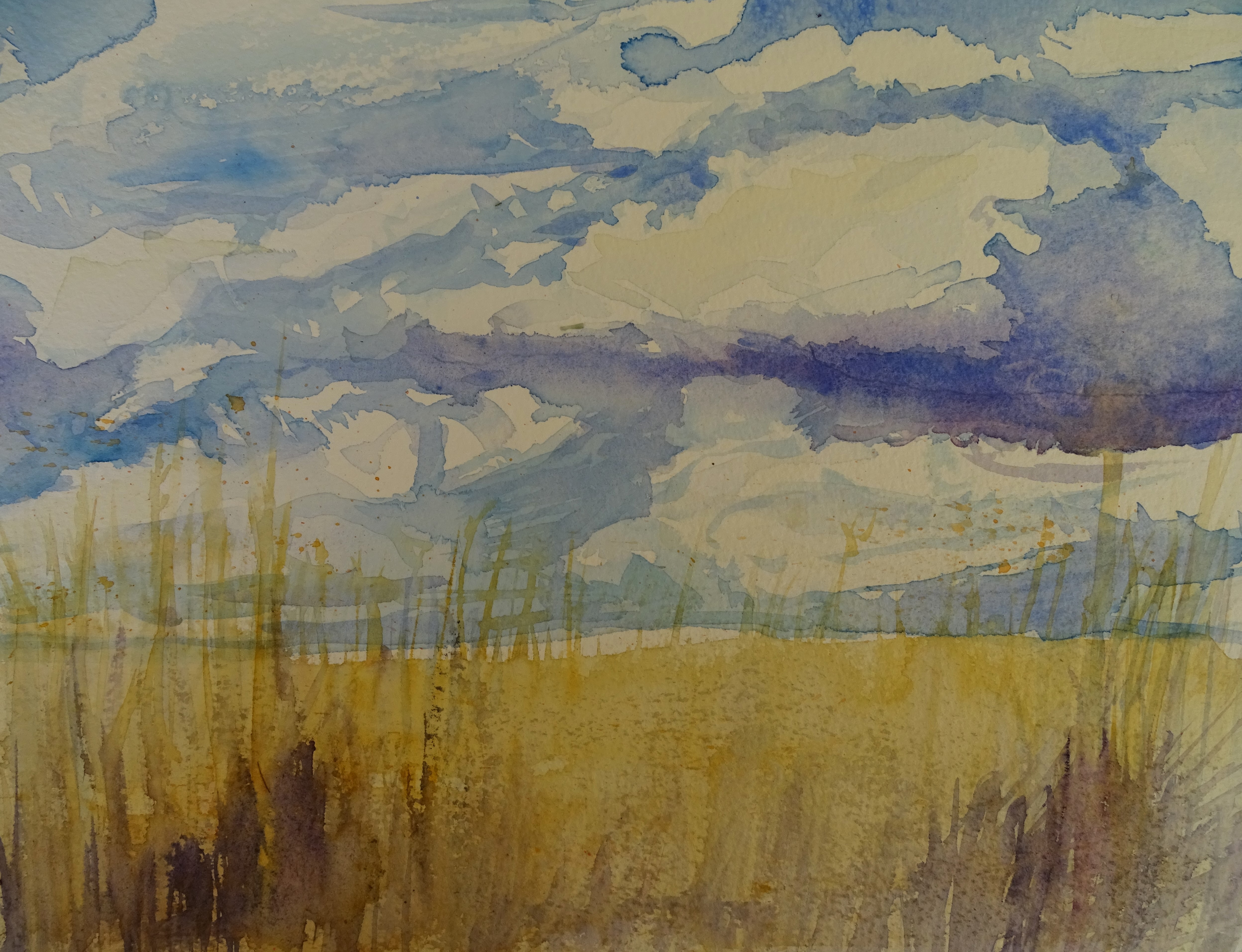 himmel-kornfeld-aquarell-nadia-baumgart