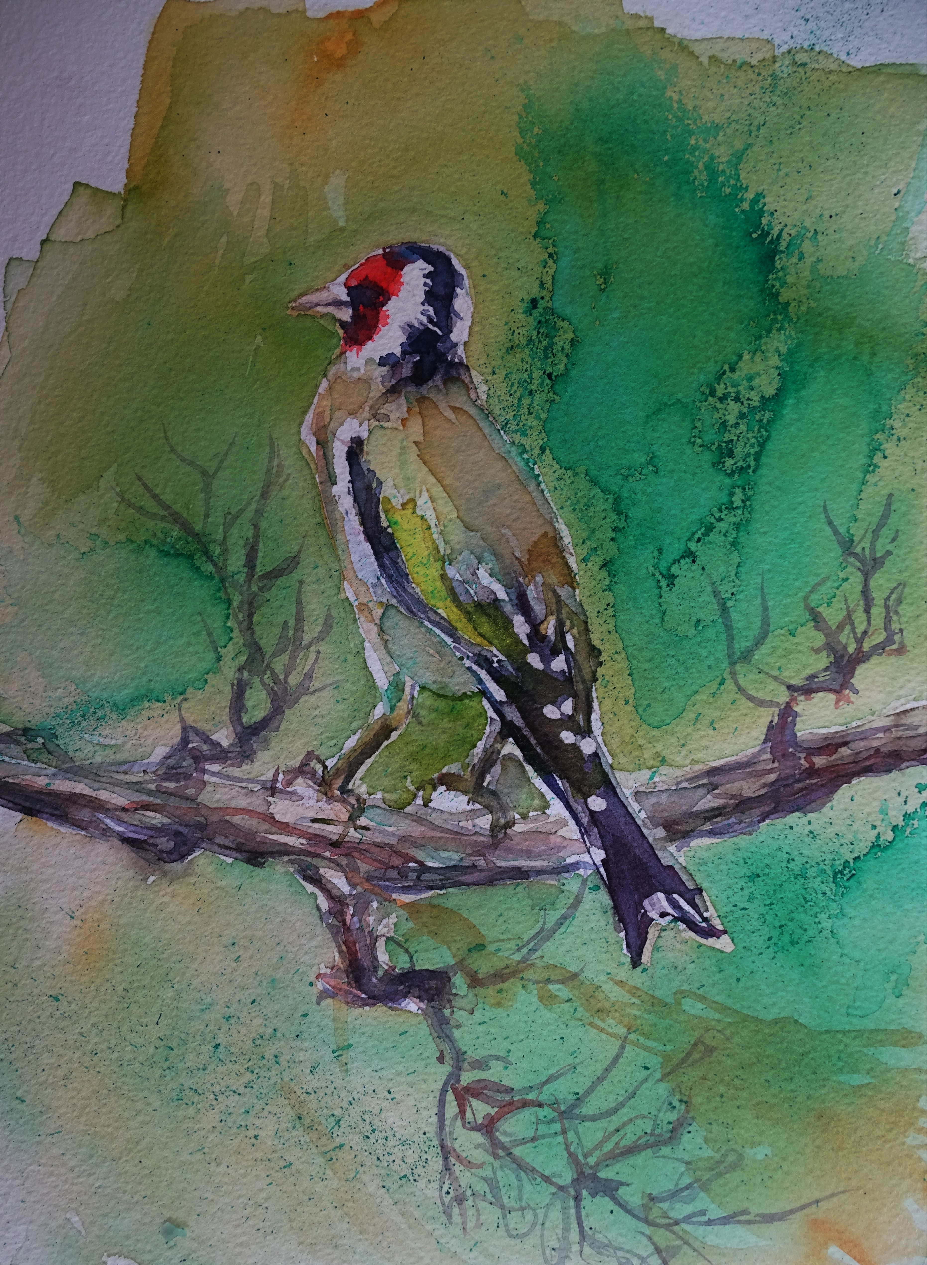 stieglitz-aquarell-nadia-baumgart