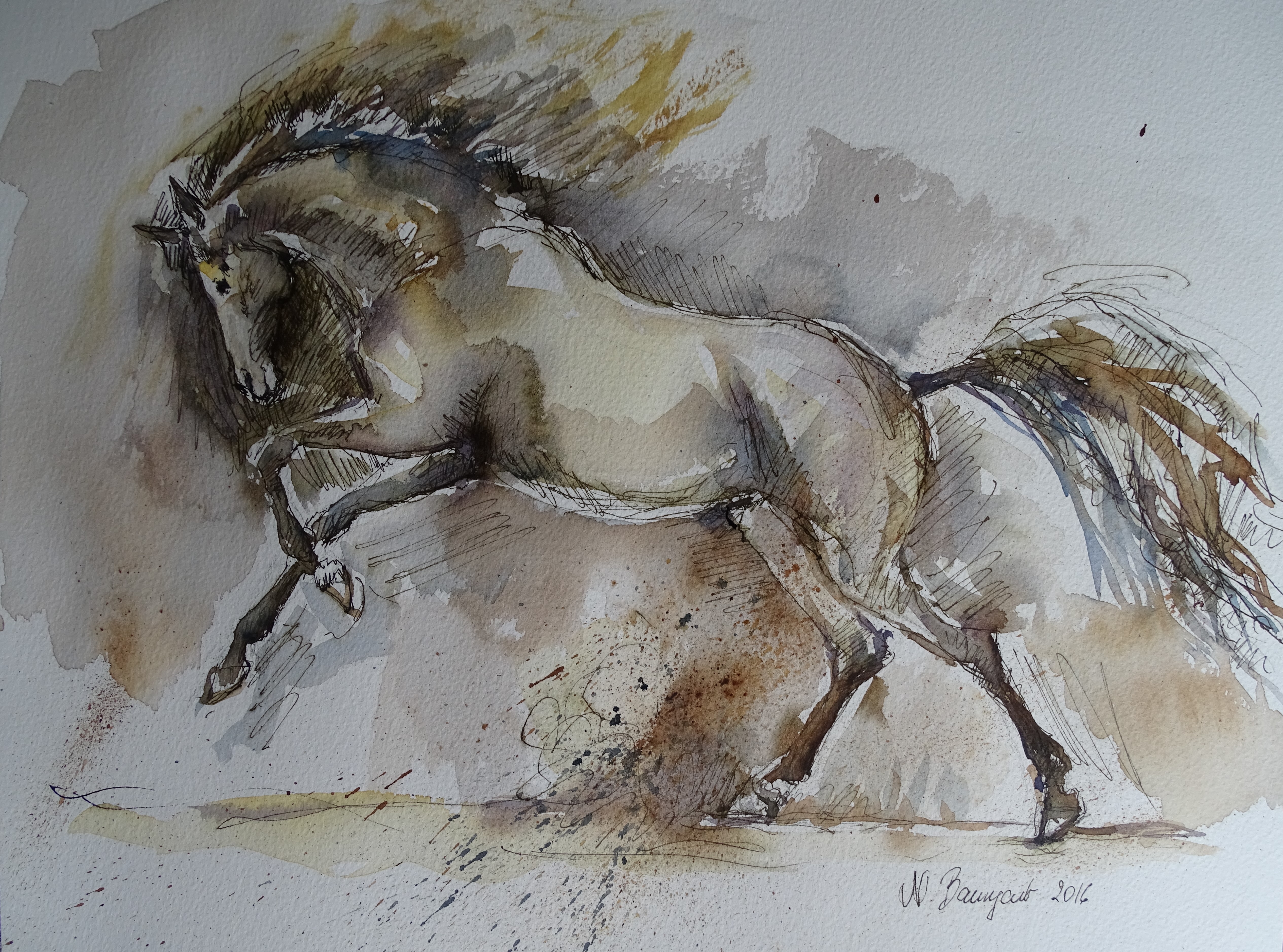 galoppierendes-pferd-aquarell-nadia-baumgart