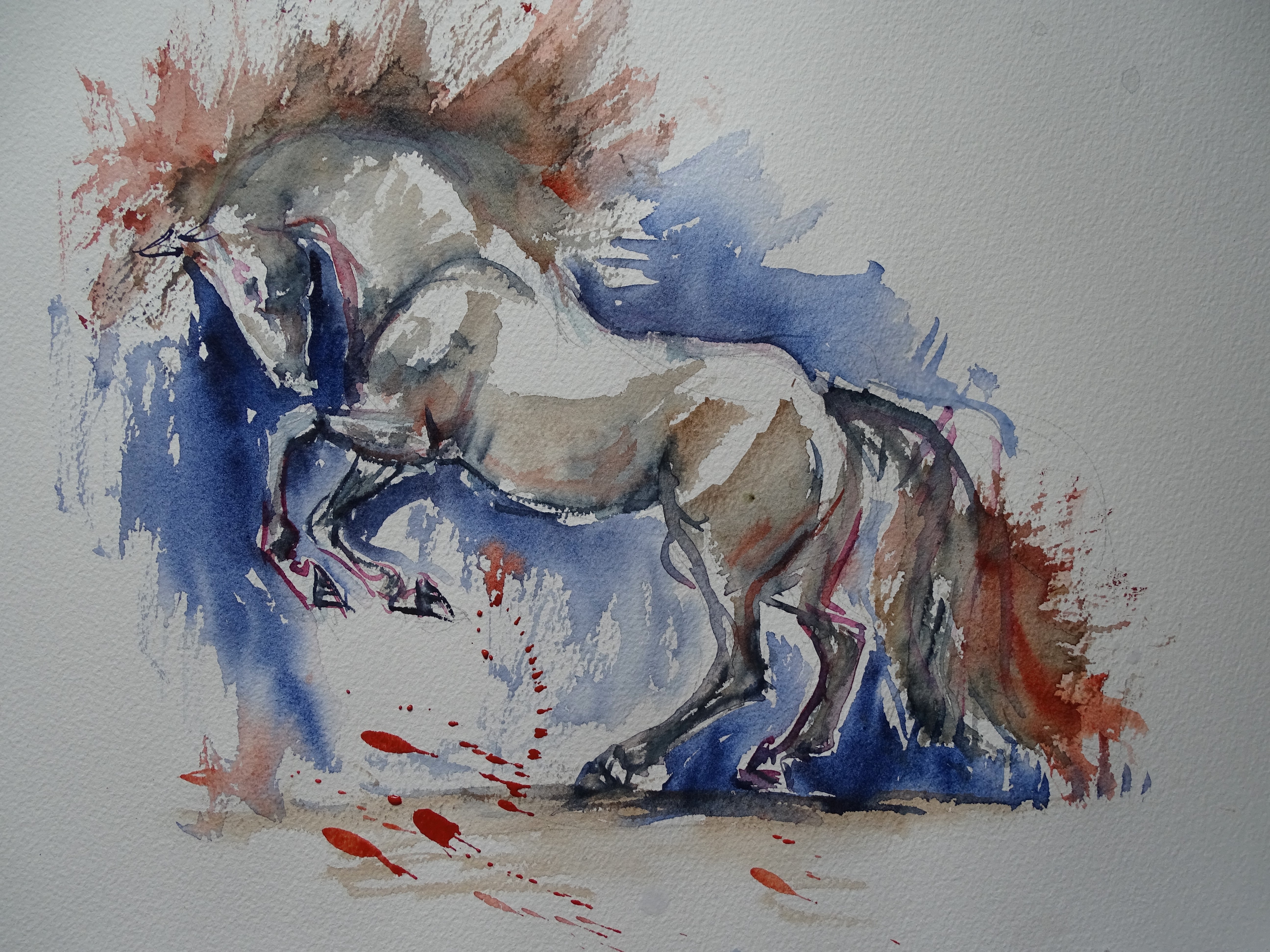 pferd-aquarell-nadia-baumgart