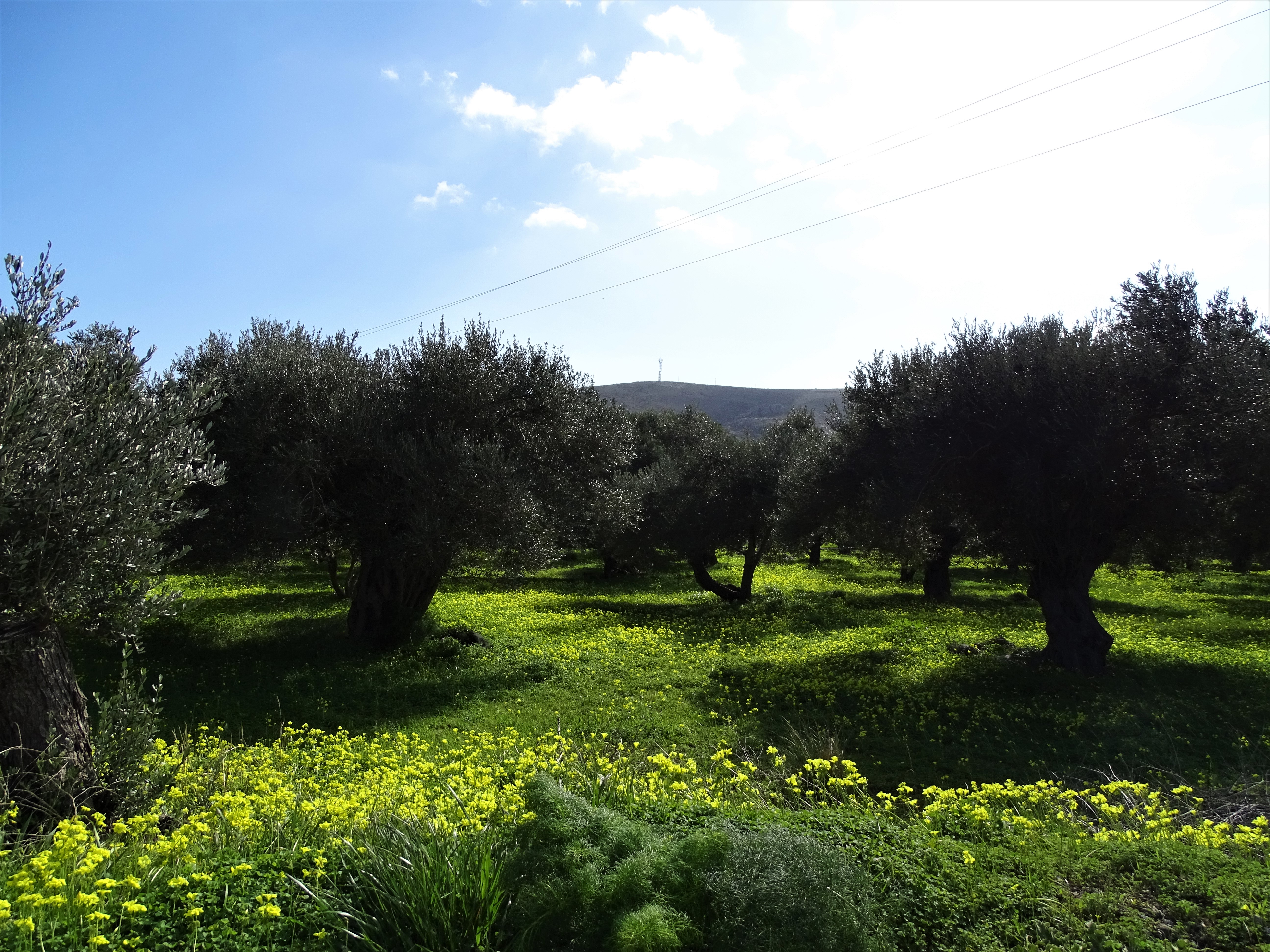 kreta-im-februar-nadia-baumgart