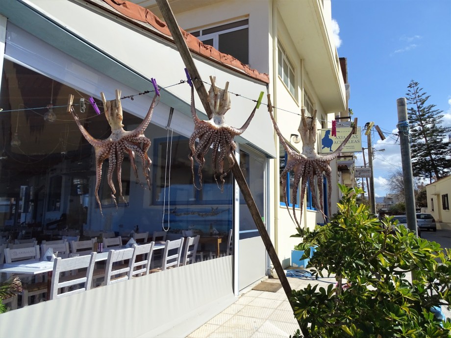 octopus-chania-foto-nadia-baumgart