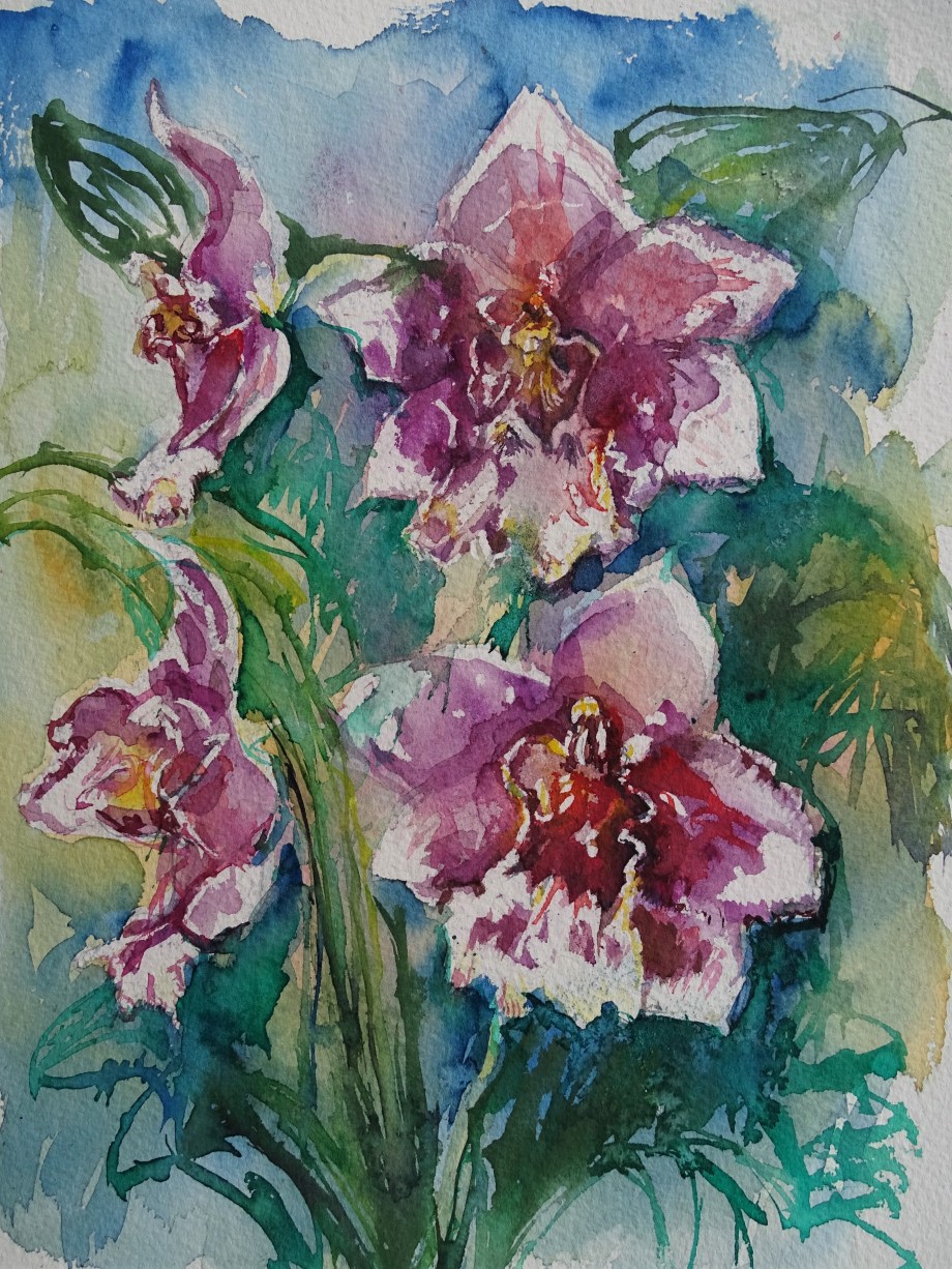 Orchideen-Orchids-Aquarelle-Watercolour-Nadia-Baumgart