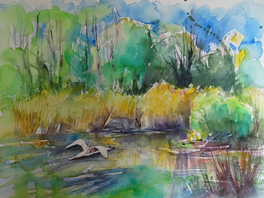 Voegel-am-Inn-Aquarelle-Nadia-Baumgart