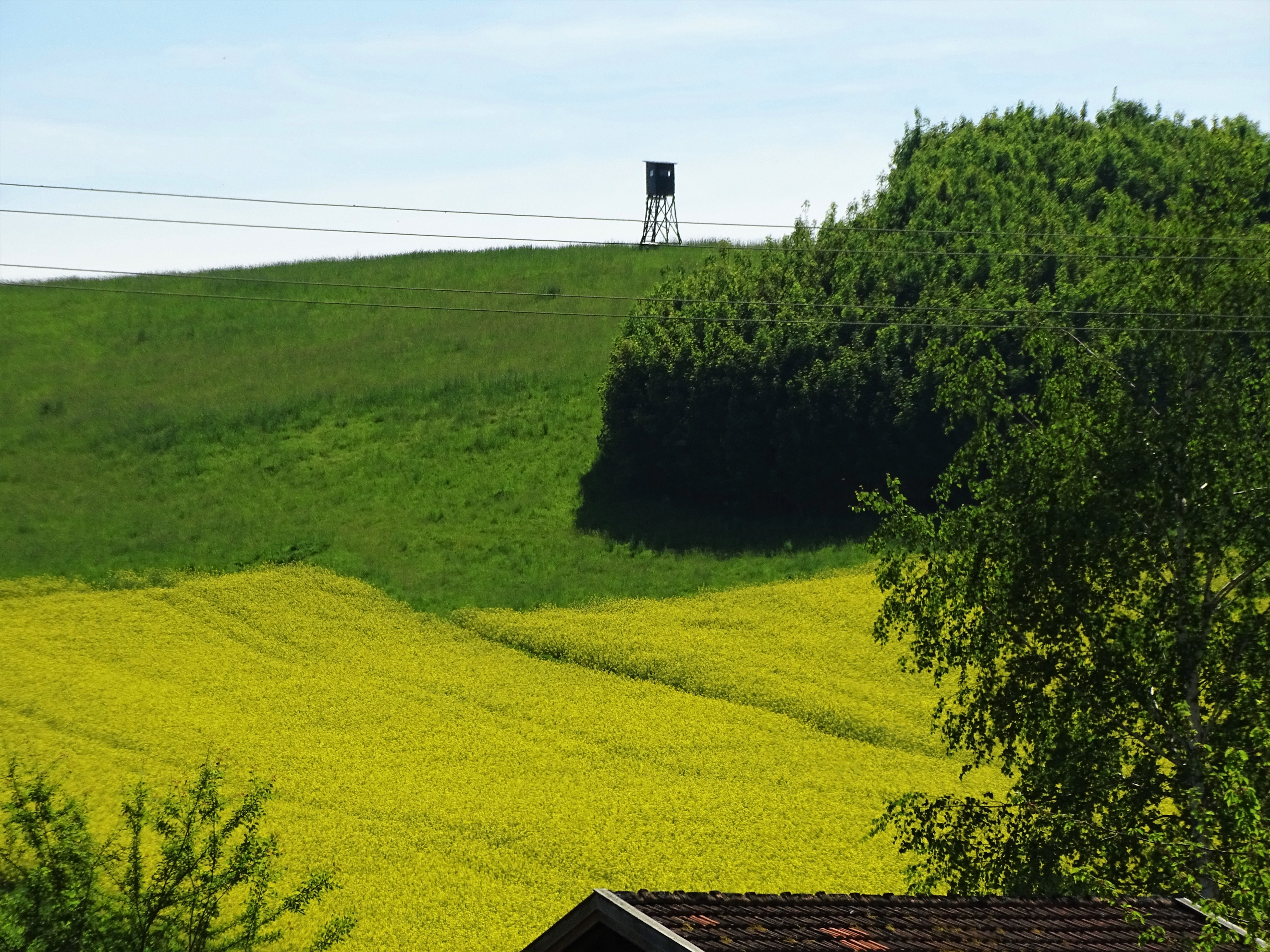 Rottal-Inn-Fotos-Nadia-Baumgart