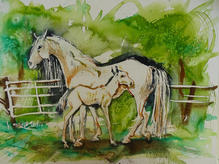 Pferde-Aquarelle-Nadia-Baumgart