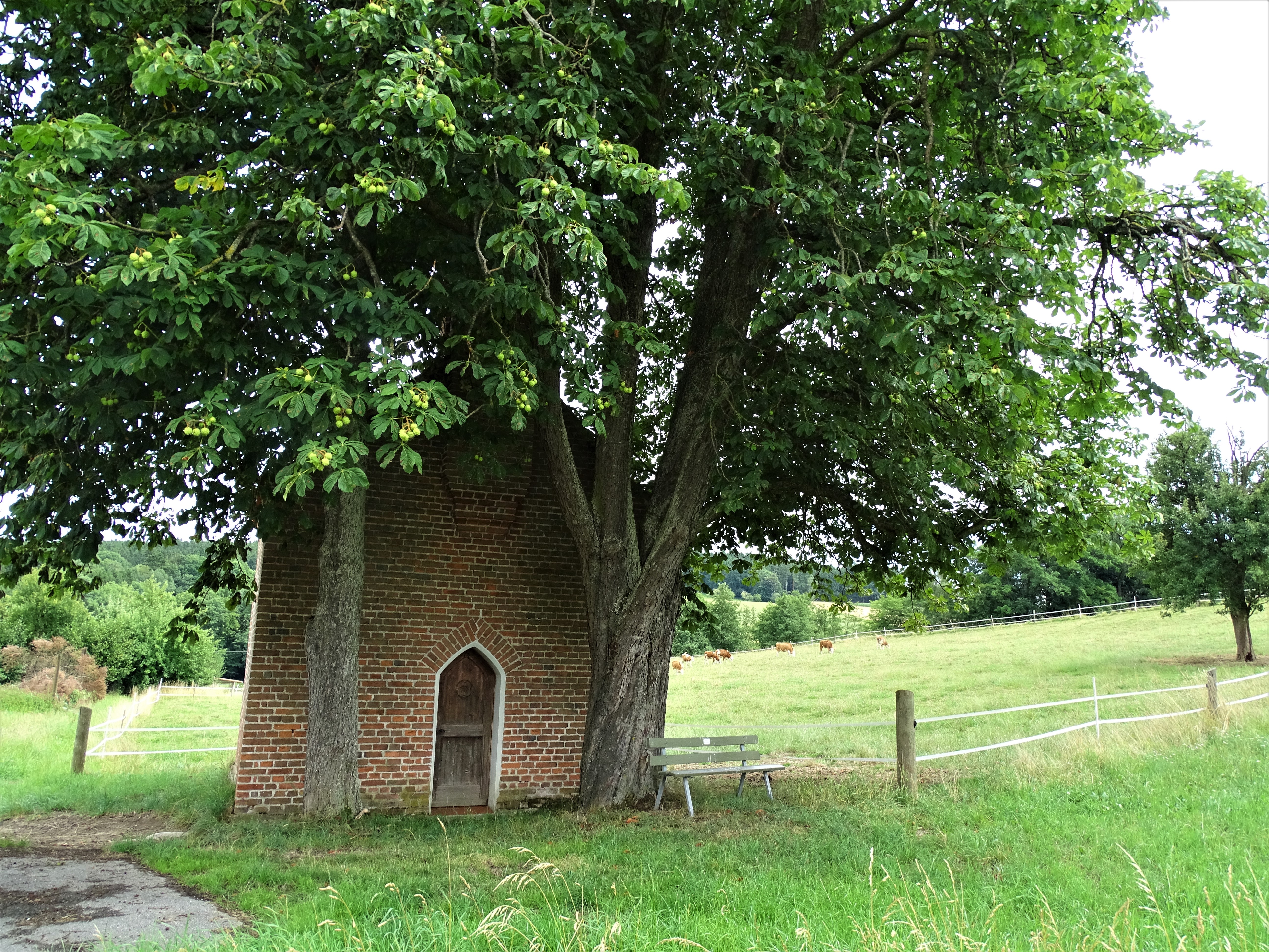 2-kapelle-bei-Steina