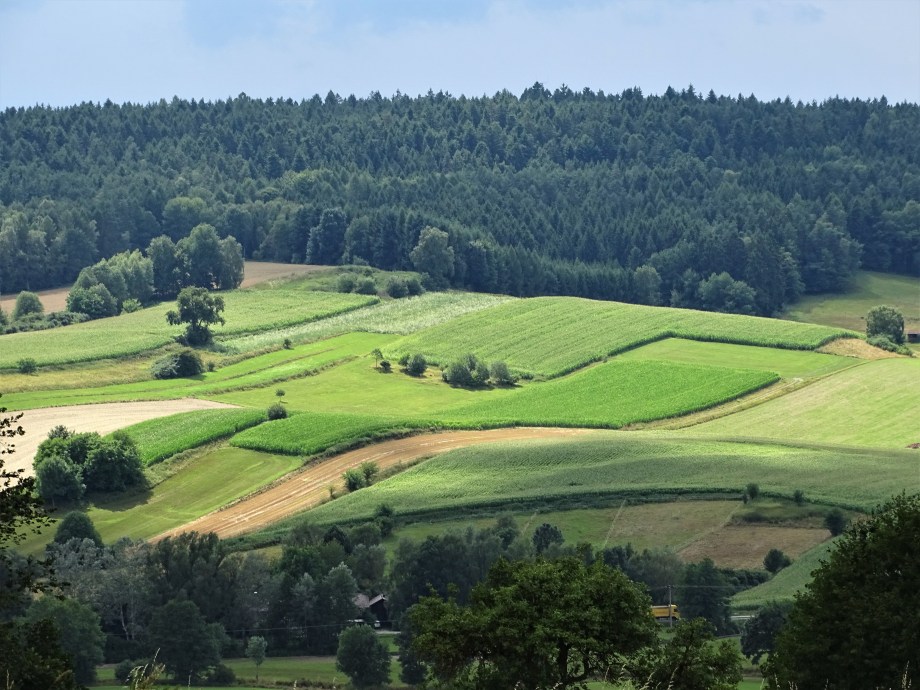 Niederbayrische-Landschaft-Foto-Nadia-baumgart