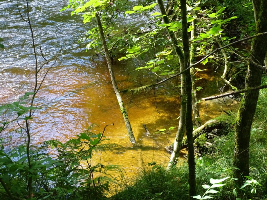 wolfsteiner-Ohe-Foto-Nadia-Baumgart
