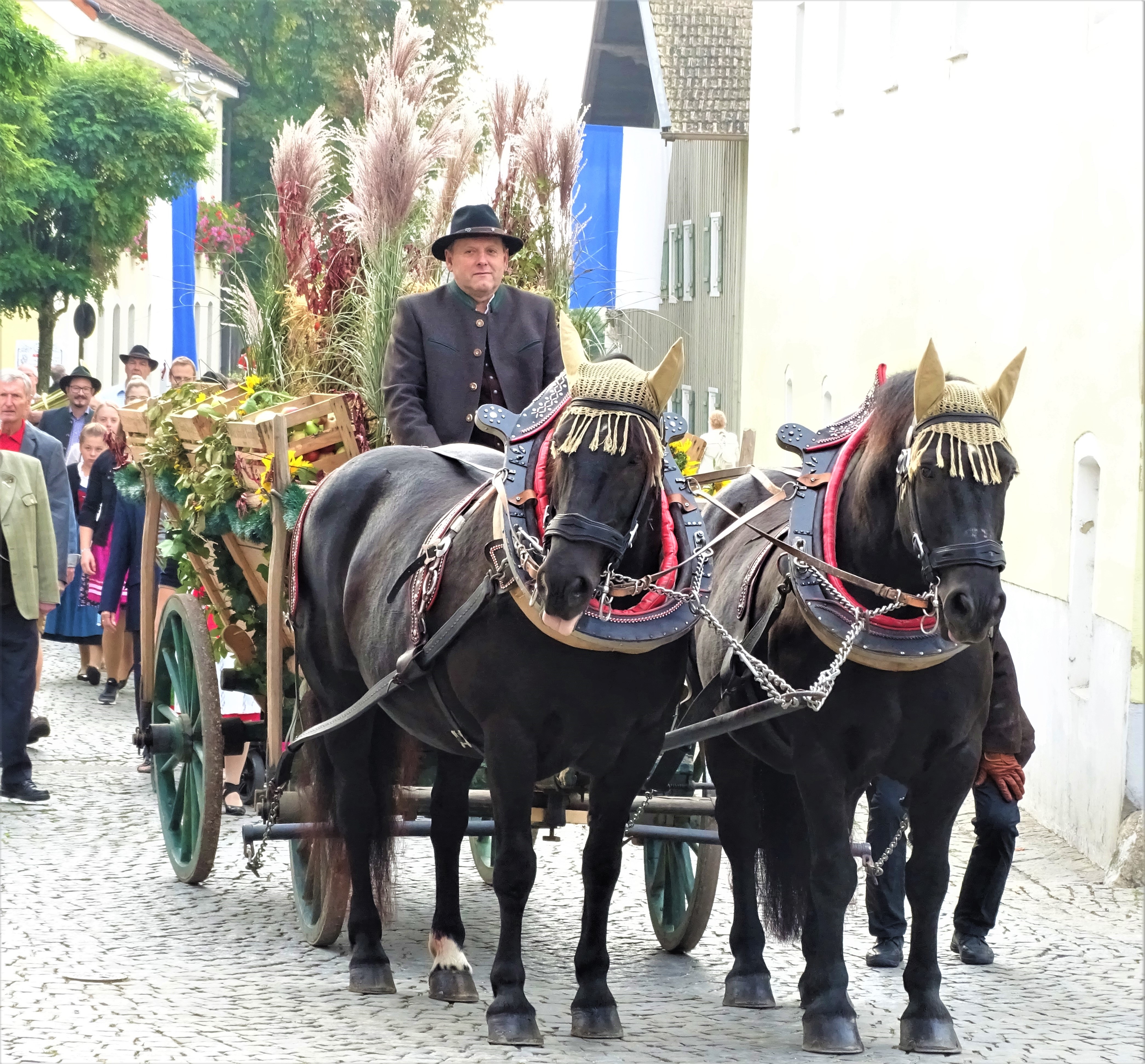 1-Slaski-Pferde-Schlesisches-Warmblut-in-Bad-Birnbach-Foto-Nadia-Baumgart