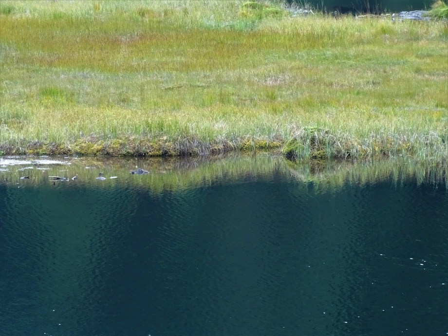 4-Kleiner Arbersee-Fotos-Nadia-Baumgart