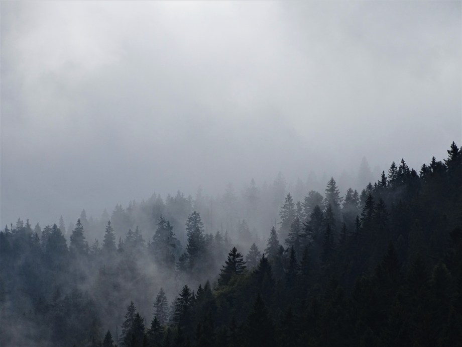 5-Kleiner Arbersee-Fotos-Nadia-Baumgart