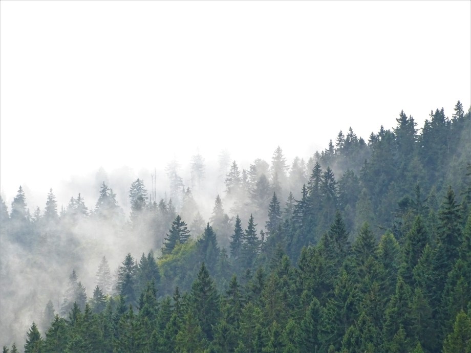 7-Kleiner Arbersee-Fotos-Nadia-Baumgart