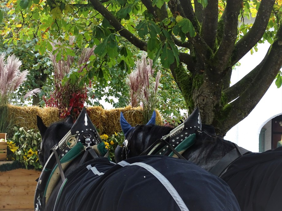 Erntedankfest-Bad-Birnbach