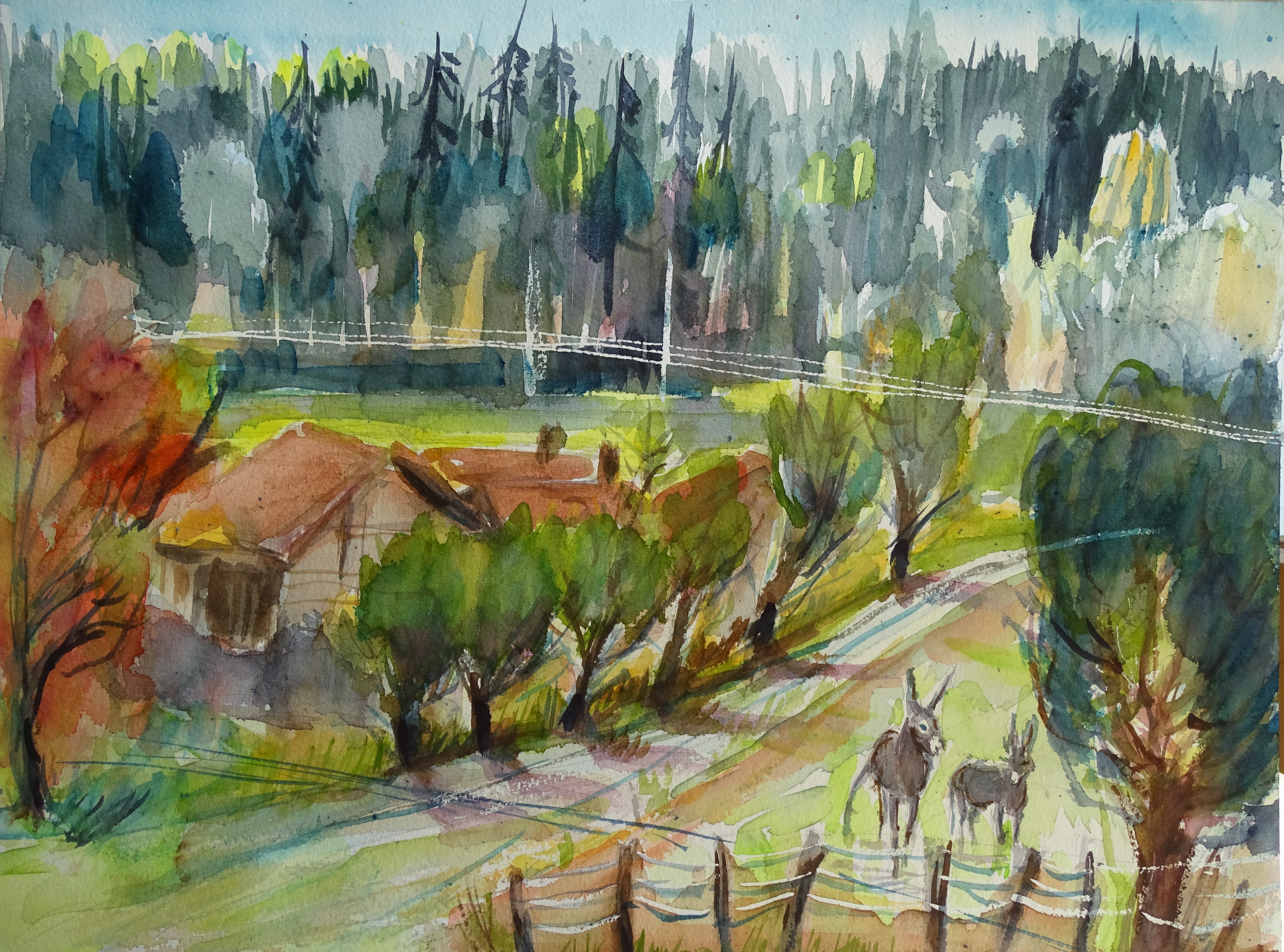 Landschaft-Aquarelle-Nadia-Baumgart-3