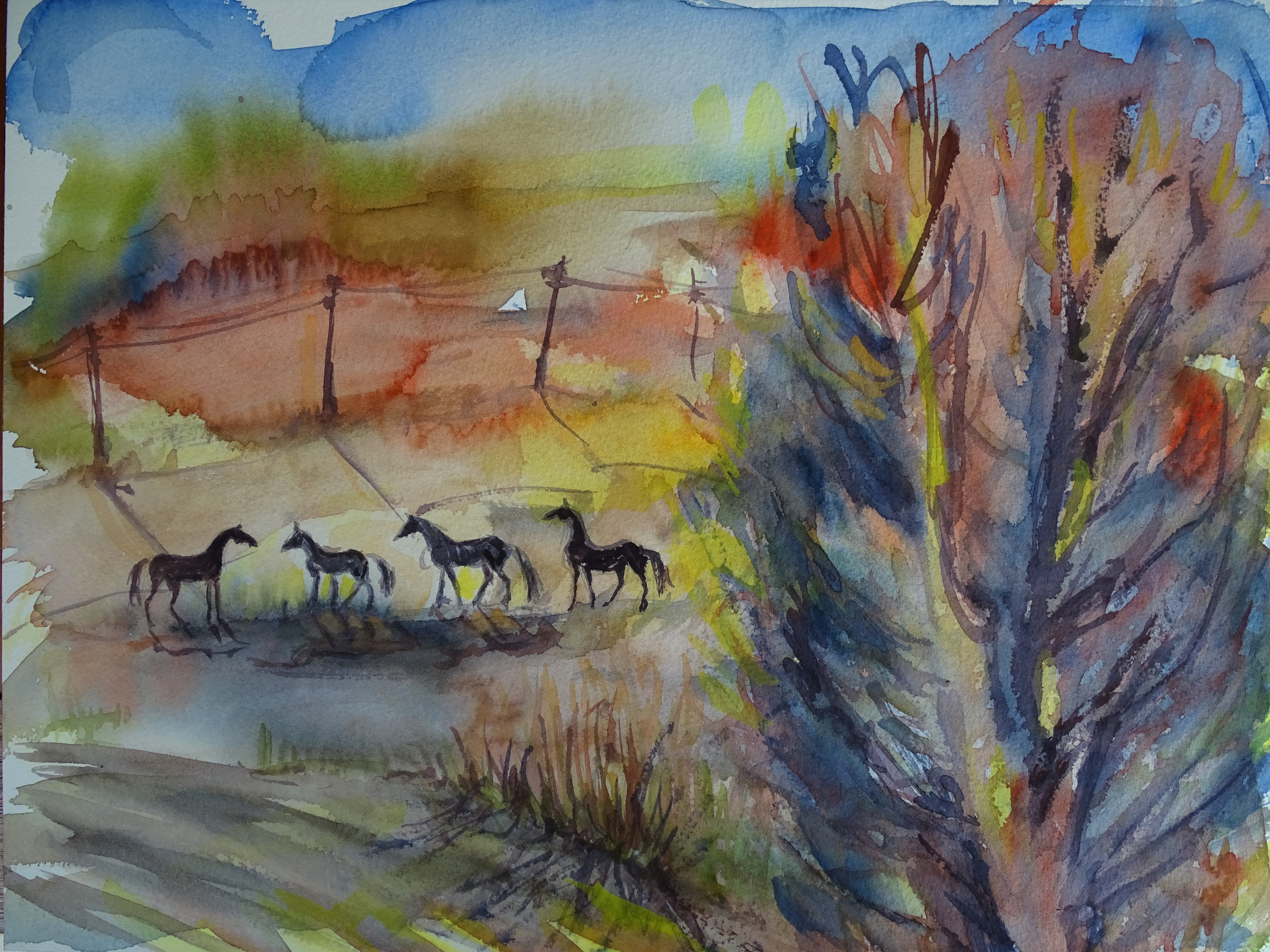 vier-Pferde-Aquarelle-Nadia-Baumgart